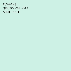 #CEF1E6 - Mint Tulip Color Image